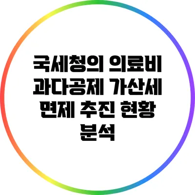 국세청의 의료비 과다공제 가산세 면제 추진 현황 분석