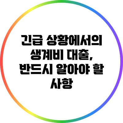 긴급 상황에서의 생계비 대출, 반드시 알아야 할 사항