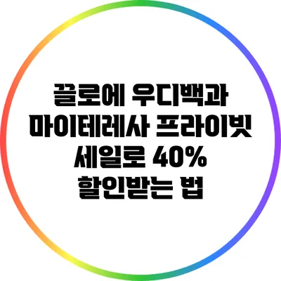 끌로에 우디백과 마이테레사 프라이빗 세일로 40% 할인받는 법