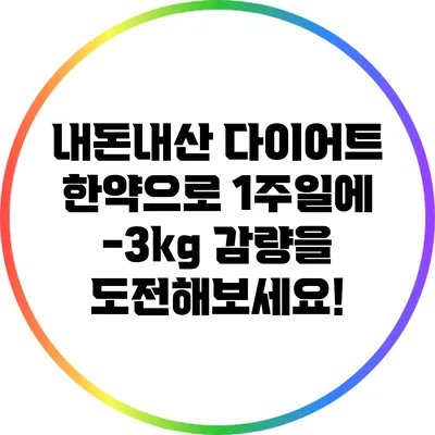 내돈내산 다이어트 한약으로 1주일에 -3kg 감량을 도전해보세요!