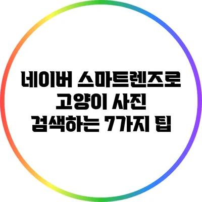 네이버 스마트렌즈로 고양이 사진 검색하는 7가지 팁