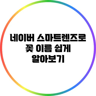 네이버 스마트렌즈로 꽃 이름 쉽게 알아보기
