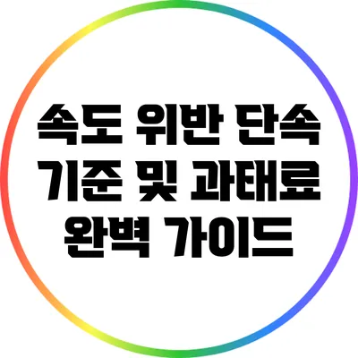 속도 위반 단속 기준 및 과태료 완벽 가이드