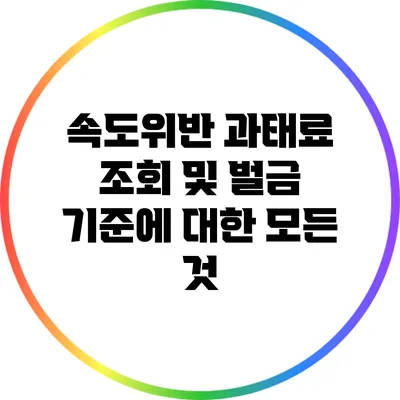 속도위반 과태료 조회 및 벌금 기준에 대한 모든 것