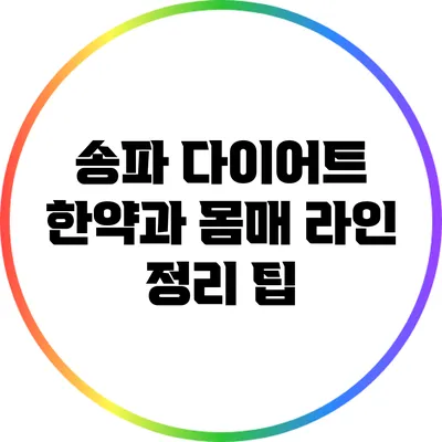 송파 다이어트 한약과 몸매 라인 정리 팁