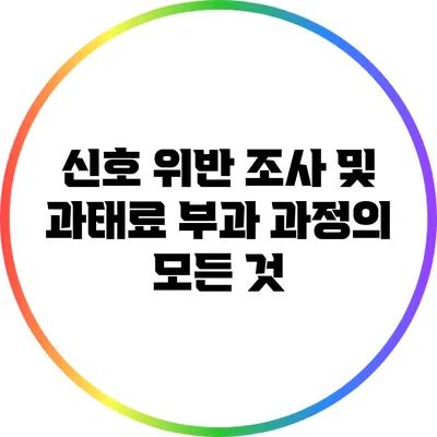신호 위반 조사 및 과태료 부과 과정의 모든 것