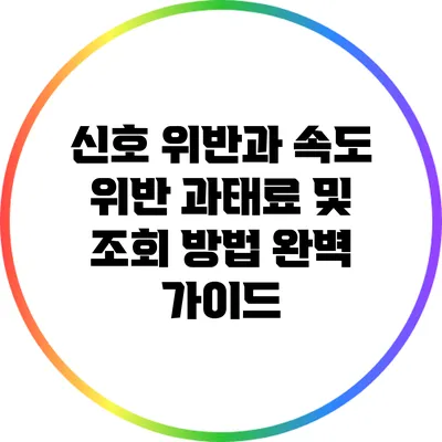 신호 위반과 속도 위반 과태료 및 조회 방법 완벽 가이드