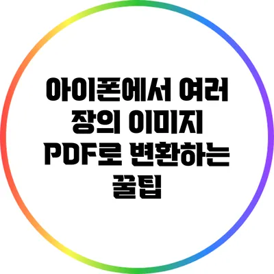 아이폰에서 여러 장의 이미지 PDF로 변환하는 꿀팁