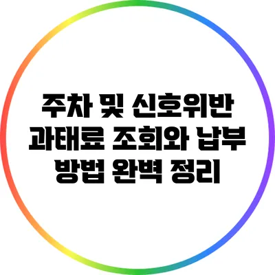 주차 및 신호위반 과태료 조회와 납부 방법 완벽 정리