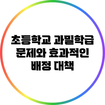 초등학교 과밀학급 문제와 효과적인 배정 대책