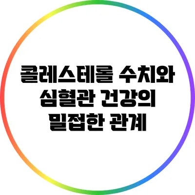 콜레스테롤 수치와 심혈관 건강의 밀접한 관계