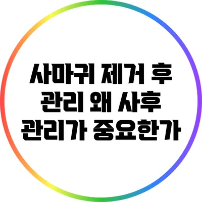 사마귀 제거 후 관리: 왜 사후 관리가 중요한가?