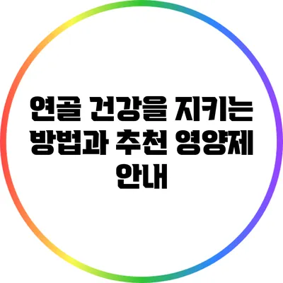 연골 건강을 지키는 방법과 추천 영양제 안내