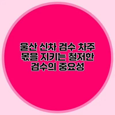 울산 신차 검수: 차주 몫을 지키는 철저한 검수의 중요성