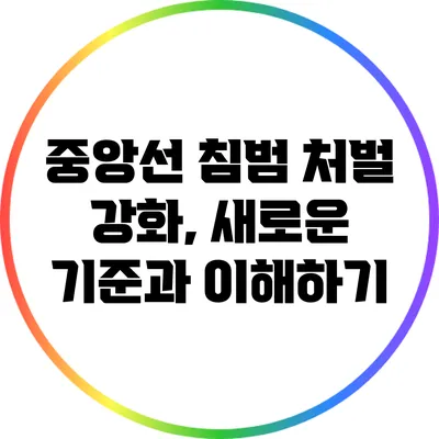 중앙선 침범 처벌 강화, 새로운 기준과 이해하기