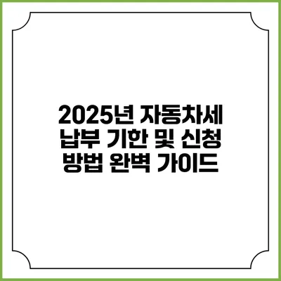 2025년 자동차세 납부 기한 및 신청 방법 완벽 가이드