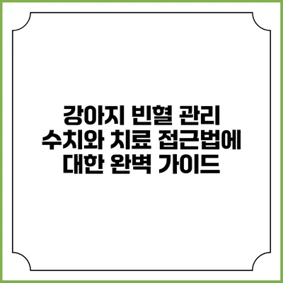 강아지 빈혈 관리 수치와 치료 접근법에 대한 완벽 가이드