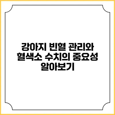 강아지 빈혈 관리와 혈색소 수치의 중요성 알아보기