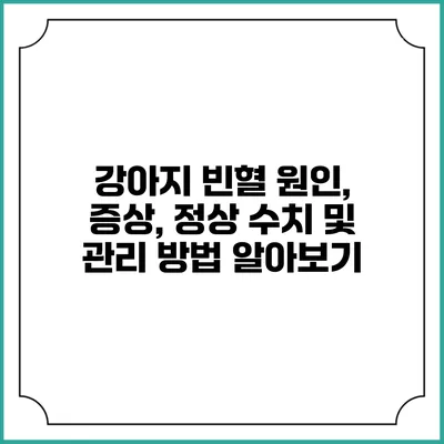 강아지 빈혈: 원인, 증상, 정상 수치 및 관리 방법 알아보기