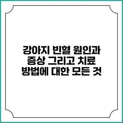 강아지 빈혈: 원인과 증상 그리고 치료 방법에 대한 모든 것
