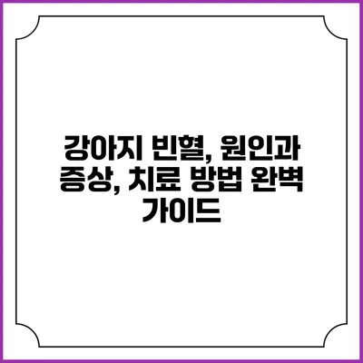 강아지 빈혈, 원인과 증상, 치료 방법 완벽 가이드