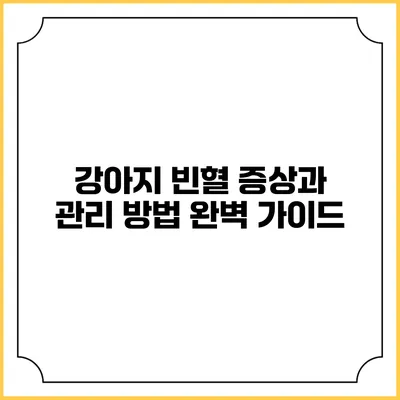 강아지 빈혈 증상과 관리 방법 완벽 가이드