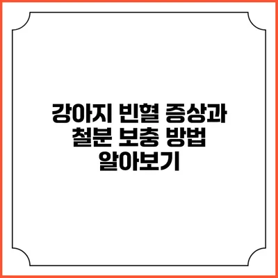강아지 빈혈: 증상과 철분 보충 방법 알아보기