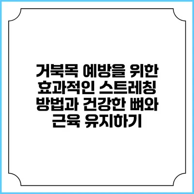 거북목 예방을 위한 효과적인 스트레칭 방법과 건강한 뼈와 근육 유지하기