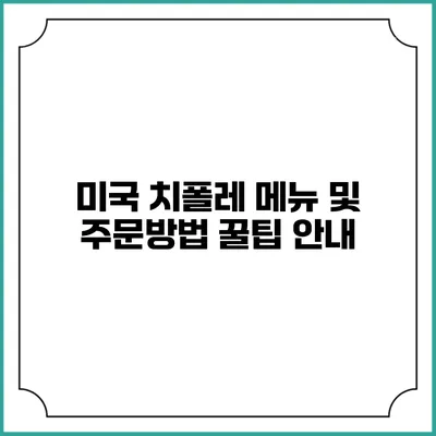 미국 치폴레 메뉴 및 주문방법 꿀팁 안내