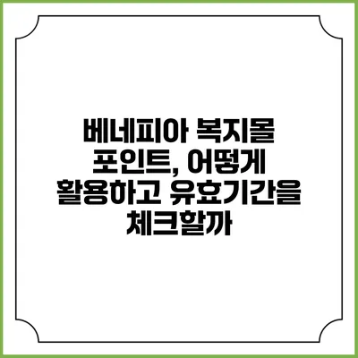베네피아 복지몰 포인트, 어떻게 활용하고 유효기간을 체크할까?