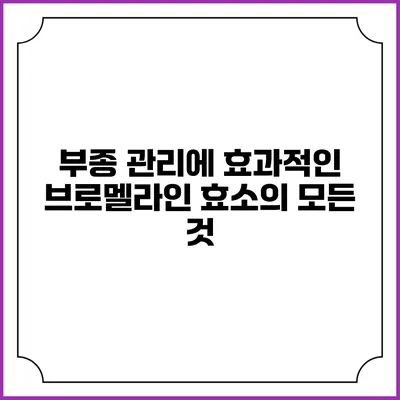 부종 관리에 효과적인 브로멜라인 효소의 모든 것