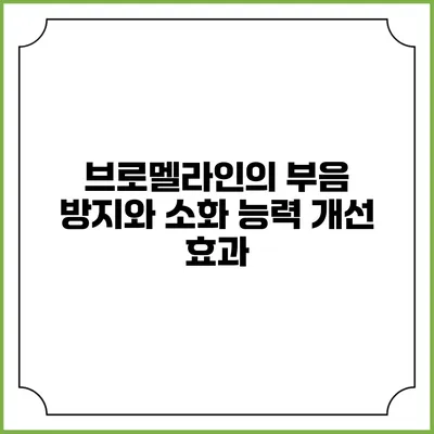 브로멜라인의 부음 방지와 소화 능력 개선 효과