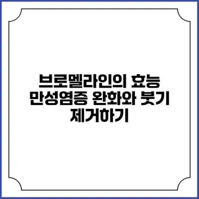 브로멜라인의 효능: 만성염증 완화와 붓기 제거하기