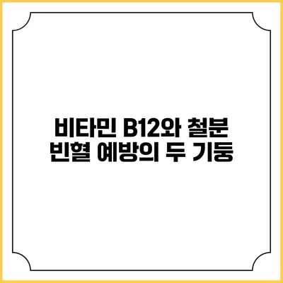 비타민 B12와 철분: 빈혈 예방의 두 기둥