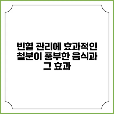 빈혈 관리에 효과적인 철분이 풍부한 음식과 그 효과