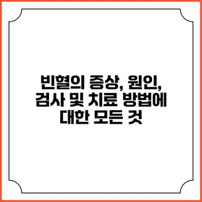 빈혈의 증상, 원인, 검사 및 치료 방법에 대한 모든 것