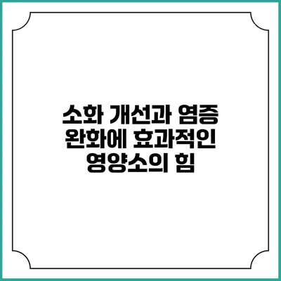 소화 개선과 염증 완화에 효과적인 영양소의 힘