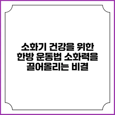 소화기 건강을 위한 한방 운동법: 소화력을 끌어올리는 비결