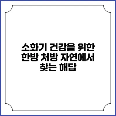 소화기 건강을 위한 한방 처방: 자연에서 찾는 해답