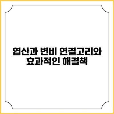엽산과 변비: 연결고리와 효과적인 해결책