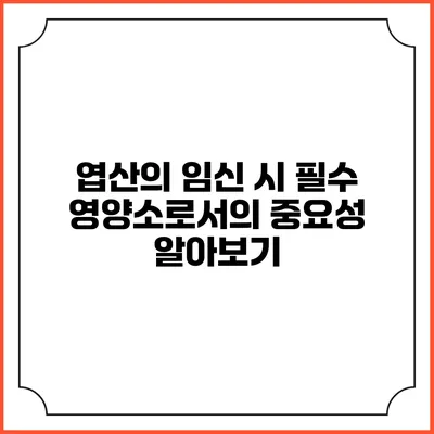엽산의 임신 시 필수 영양소로서의 중요성 알아보기