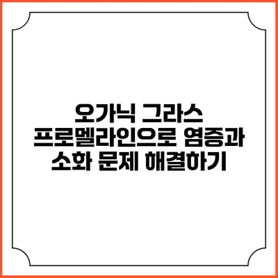 오가닉 그라스 프로멜라인으로 염증과 소화 문제 해결하기