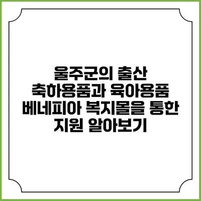 울주군의 출산 축하용품과 육아용품: 베네피아 복지몰을 통한 지원 알아보기