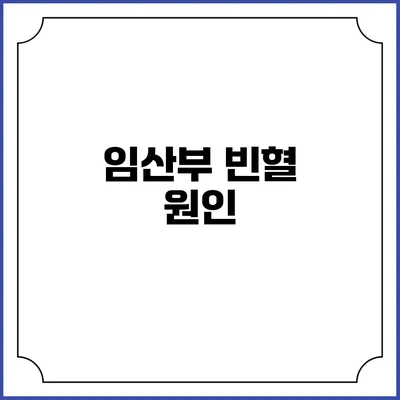 임산부 빈혈: 원인