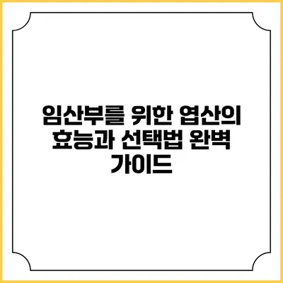 임산부를 위한 엽산의 효능과 선택법 완벽 가이드