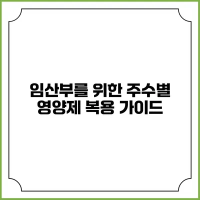 임산부를 위한 주수별 영양제 복용 가이드