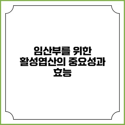 임산부를 위한 활성엽산의 중요성과 효능