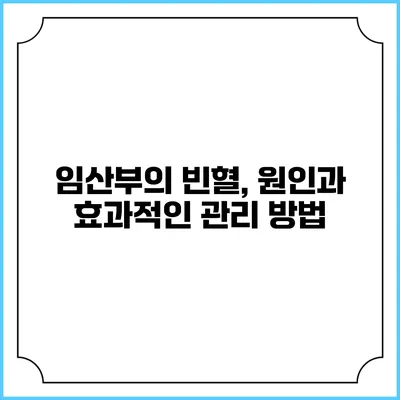 임산부의 빈혈, 원인과 효과적인 관리 방법