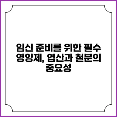 임신 준비를 위한 필수 영양제, 엽산과 철분의 중요성