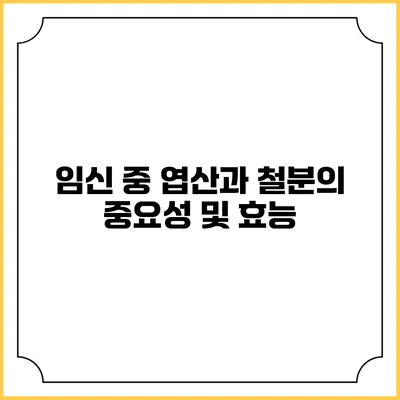 임신 중 엽산과 철분의 중요성 및 효능